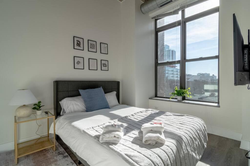 Mccormick Place Beautiful 2Br Apartment With Optional Parking Sleeps Up To 8 Near Soldier Field, Grant Park And Lakefront Trail Chicago Buitenkant foto